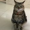 今生无悔的头像