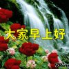 燕子的头像