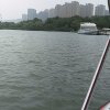 光头强的头像
