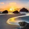 海洋之星的头像
