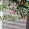 小的头像