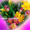 平安是福的头像