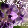 ZT 老赵的头像