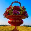 爱唱歌的人的头像