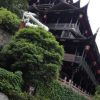 日行一善 海纳百川的头像