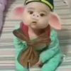 小小八戒的头像