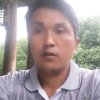 知音的头像