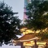 白子画的头像