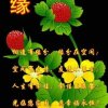 珍的头像