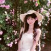 〃甜美过后的悲伤旋律々的头像