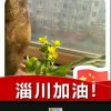 懂你（绿色听歌）的头像