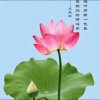 你若安好，便是晴天的头像