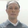 启杏的头像