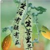 夕阳红的头像