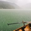 【大米】 的头像