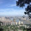 智《暂停》的头像