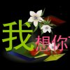 谢谢你的爱的头像