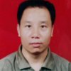 回归人性时代的头像