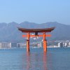 ꧁༺婲若离枝༻꧂的头像
