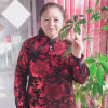 梦想成真的头像