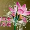 不忘初心，的头像