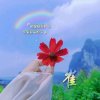 罂粟`沉醉于那致命的美的头像