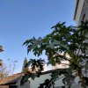 熊师的头像