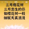 。。的头像