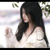 一生挚爱《暂退》的头像