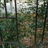 无名草的头像