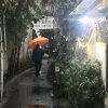 雨忆的头像