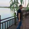 橄榄树的头像