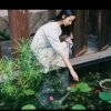朗读者陌夏(悦读园四班六组)偶尔在线的头像