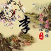 静的头像