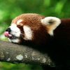 孤灯不明（开学暂退）的头像