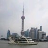潘素英的头像