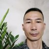 晨的头像