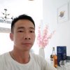  树的头像