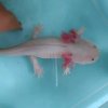 ⁽⁽ଘ(小燕子)ଓ⁾⁾的头像