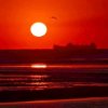 日出日落...的头像