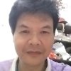 满天飞的头像