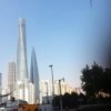 ，长江绿洲的头像