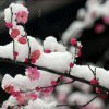 寒冬的头像