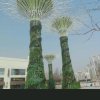 小虫（不玩）的头像