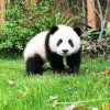 LHR的头像