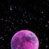 星河皓月的头像