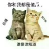 为自己加油的头像