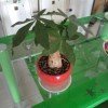 汾阳名酒营销处的头像