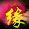 千里有缘的头像