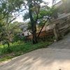 春兰的头像